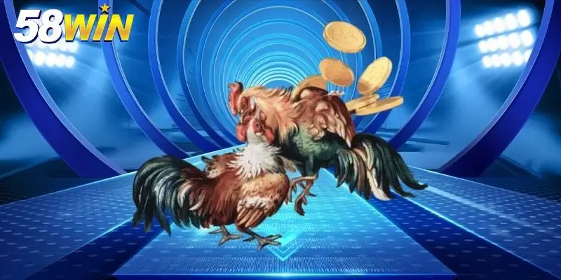 Khái quát sân chơi chọi kê Thomo