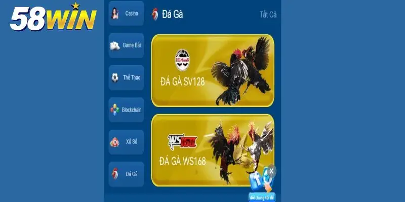 Khái quát sân cược chọi kê